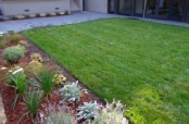 Landscaping Services Photo Gallery 
